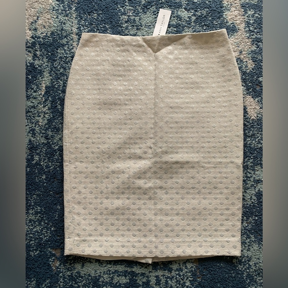 NWT Ann Taylor professional skirt